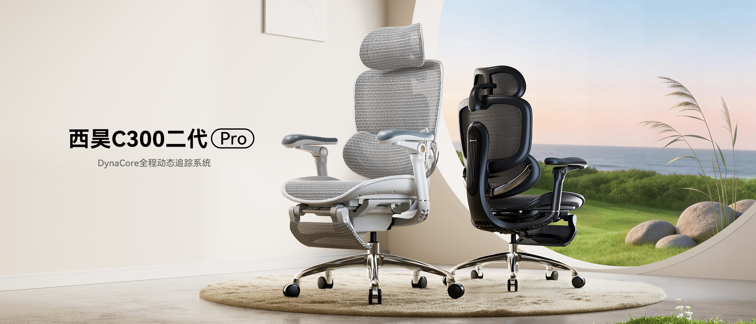 C300